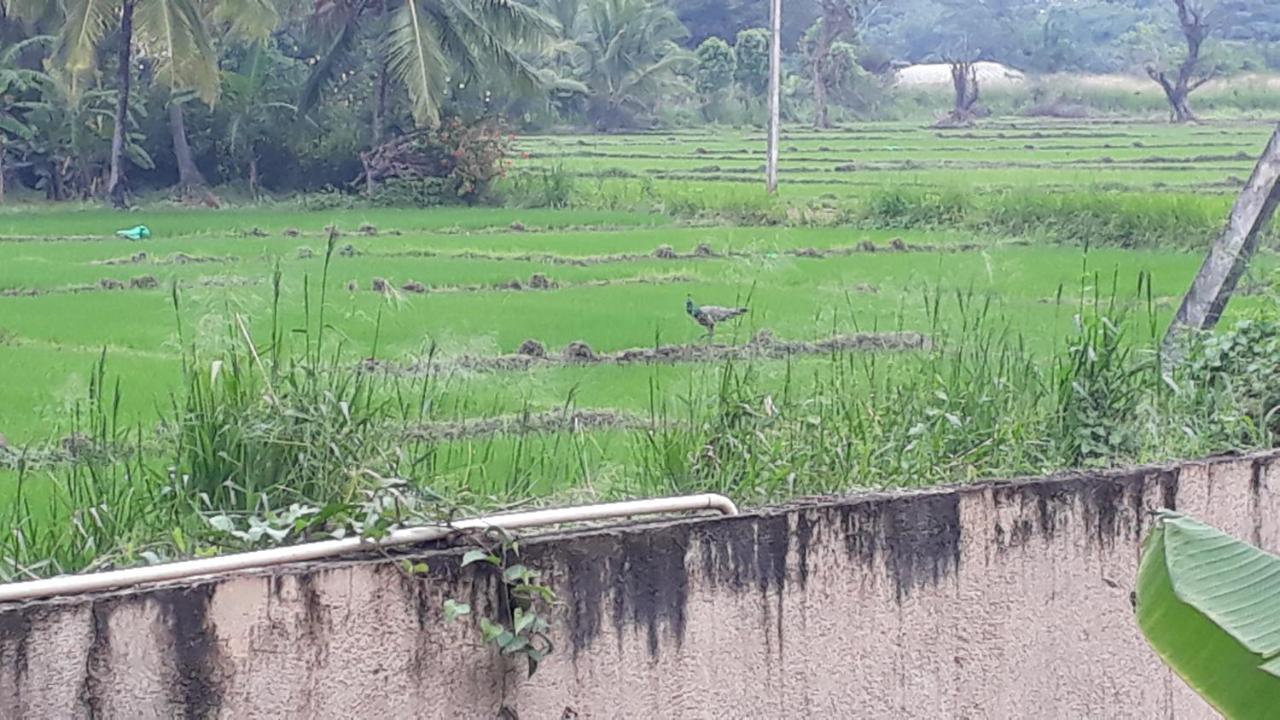 Isiwara Paura Bugged Apartment Sigiriya Ngoại thất bức ảnh