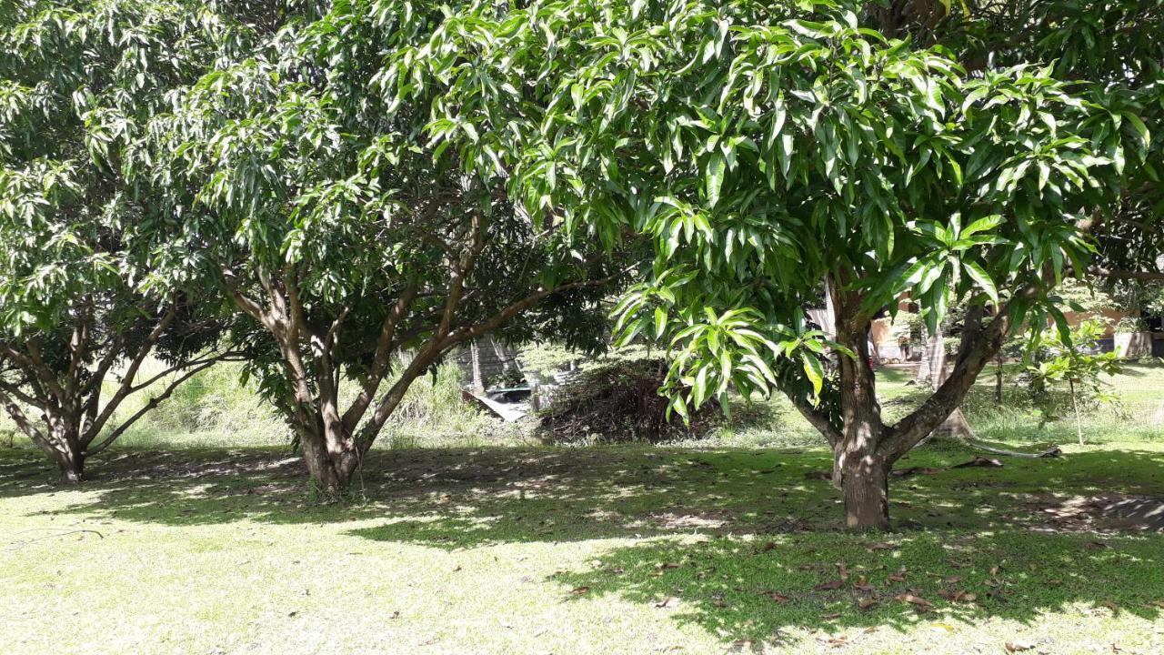 Isiwara Paura Bugged Apartment Sigiriya Ngoại thất bức ảnh